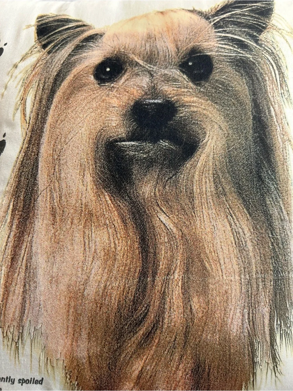 THE WILDSIDE YORKSHIRE TERRIER INFORMATIONAL CREAM/BROWN THROW PILLOW